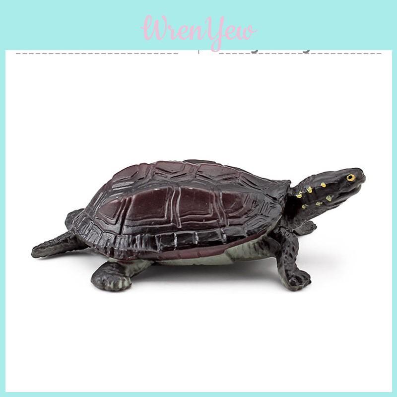 Aquatic Reptile Tortoise Pvc Model Set With Realistic Detailing For Educational Collection