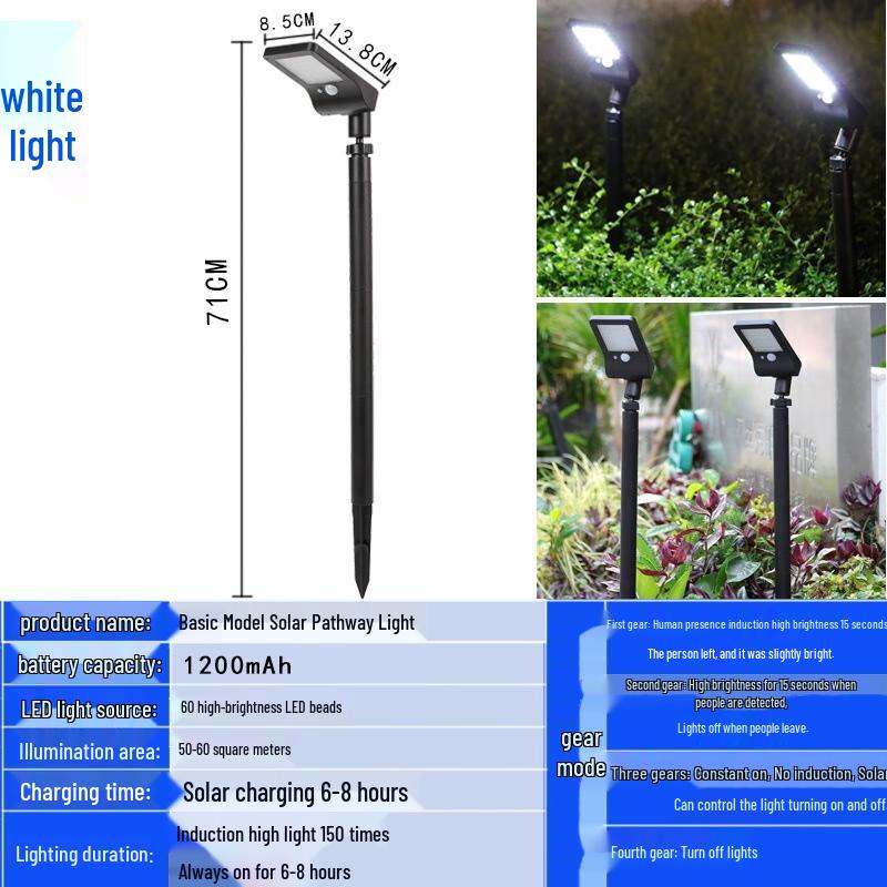 Solar Garden Path Lights
