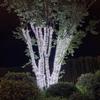20M Length Waterfall Fairy Light Waterproof Outdoor String Light LED String Lights  New Year Decor