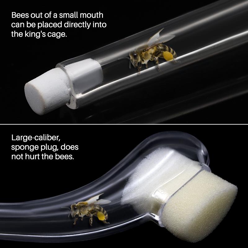 2 STK Biehold Dronningbie Fanger Fange Dronningbur Enhet Fange Dronning Apicultura Oppdrettssystem Bieutstyr