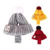 Knitted Dog Hat Cat Pompon Hat Winter Warm Hat with Ear Holes for Small Dogs And Cats Daily Wear Photography Prop