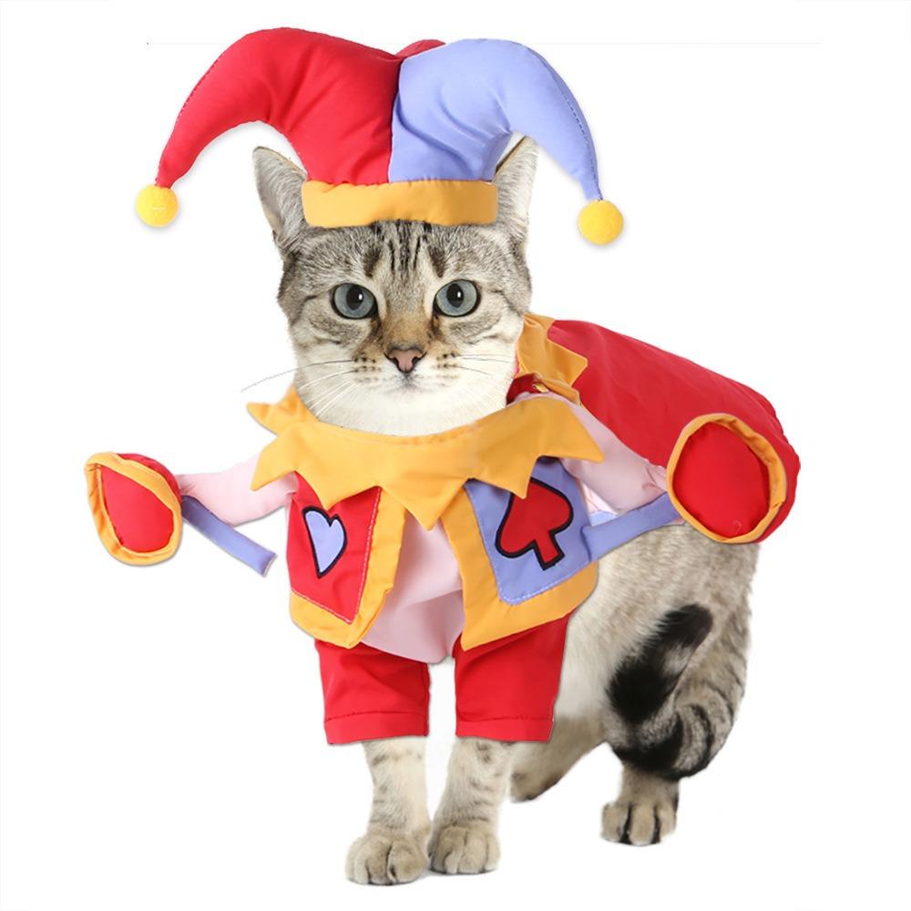 Pet Transformation Cat Funny Christmas Transformation Dog Clothes, Pet Funny Halloween Costumes