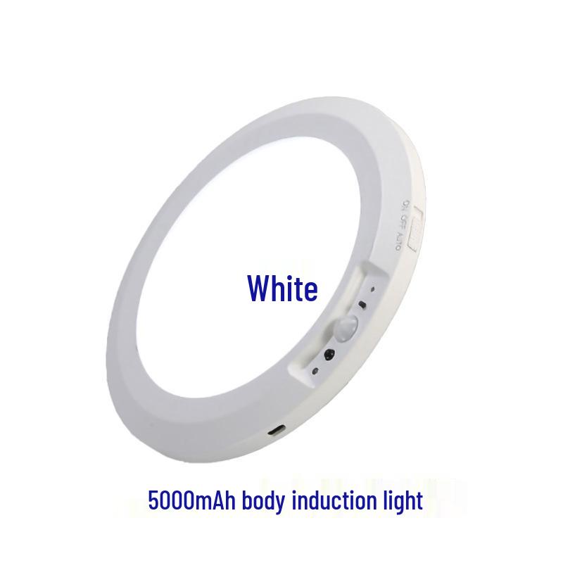 

Магнітний стельовий світильник з датчиком: Декоративний нічник з датчиком руху для дому