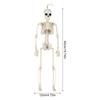 40cm Plastic Human Skeleton Model with Movable Joints for Halloween Decoration and Teaching Display
