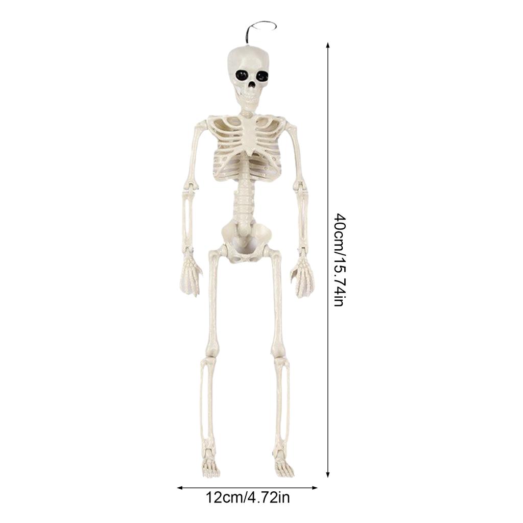 40cm Plastic Human Skeleton Model with Movable Joints for Halloween Decoration and Teaching Display