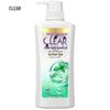 Anti-Dandruff Ice Mint Shampoo