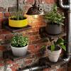 4 Stück Holz Wandmontierte Regale Einfache Pflanzen Blumentopf Tabletts Langlebige Blumenständer für die Küche