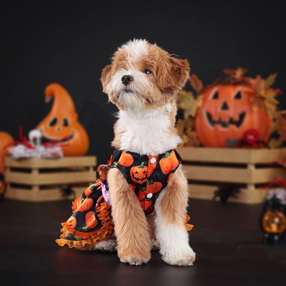 Pumpkin Pattern Halloween Dog Costume Cute Pet Pumpkin Lace Dress  Home Decor