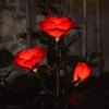 Solar Rose Flower Garden Light