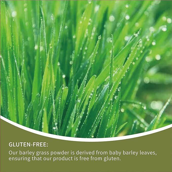 250g Organic Barley Grass Powder |USDA Certified | PREMIUM Grade