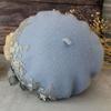 Women's Hat Original Embroidered Beret Women's Autumn/winter Floral Painter Hat Wool Pumpkin Hat