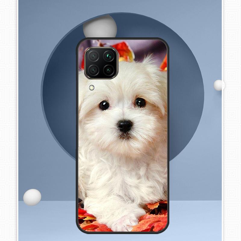 Maltese Dog Puppies For Huawei Nova Y91 Y60 Y70 Y72 Y90 Y61 12s 12i 11i 8i 10 9 SE P20 P40 Lite P30 P60 Pro Case