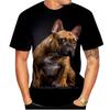 Fashion French Bulldog Graphics T-Shirts Summer Casual  Hip Hop OversizedO Neck Short Sleeve Funny Animal Printed T-shirts