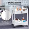 Lab Cart, 2 Tiers Stainless Steel Utility Cart, Medical Cart with 2 Drawers, Rolling Lab Cart White Paint, Serving Cart with Swivel Casters for