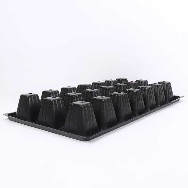 MOJY Thickened Seedling Tray for Peanut Sprouting and Succulents