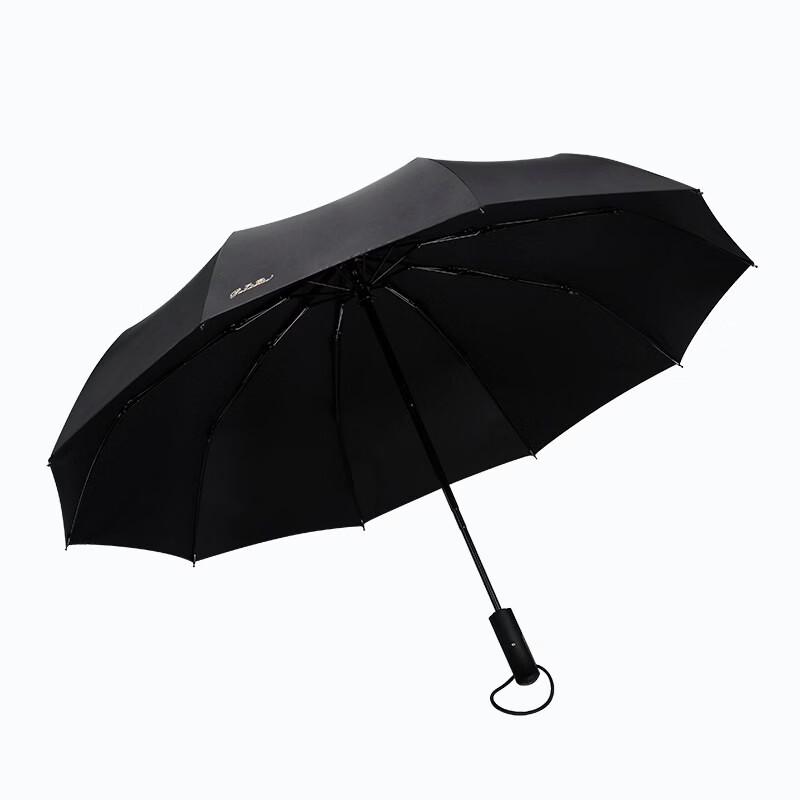 Paradise Umbrella Self-Open/Close Large Windproof Folding Umbrella