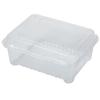 Transparent Disposable Fruit Box with Lid – Food-Grade Plastic, Rectangular, Sturdy for Takeaway, Ideal for Strawberries or Cut Fruit