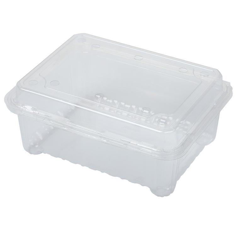 Transparent Disposable Fruit Box with Lid – Food-Grade Plastic, Rectangular, Sturdy for Takeaway, Ideal for Strawberries or Cut Fruit