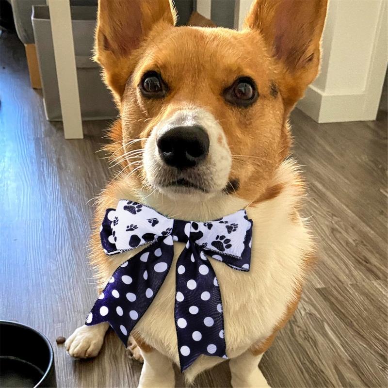 Wstążka druciana z nadrukiem łap, Wstążka dla psa, Wstążka w kropki, Wstążka z drucianym brzegiem, Wstążka dekoracyjna do pakowania, Aranżacje kwiatowe