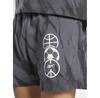 Шорты спортивные Reebok Classics Block Party Shorts