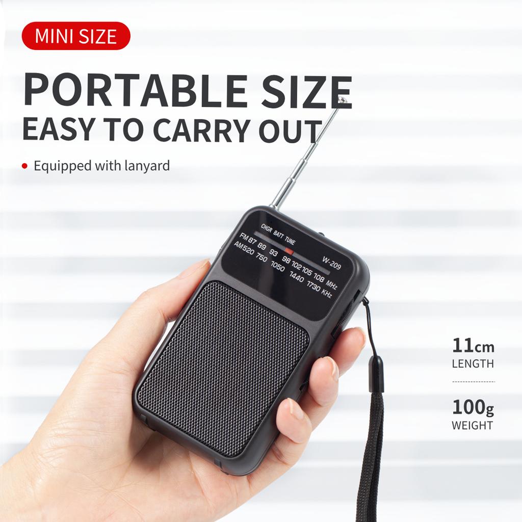 Compactly FM AM Radio With Pointers Designs Supports Type C Charging And Batteries for Outdoor Activity Use