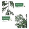 Green Artificial Pine Garland Accessories Xmas Tree Ornament Christmas Hanging Wreaths DIY Photo Props Greenery Rattan