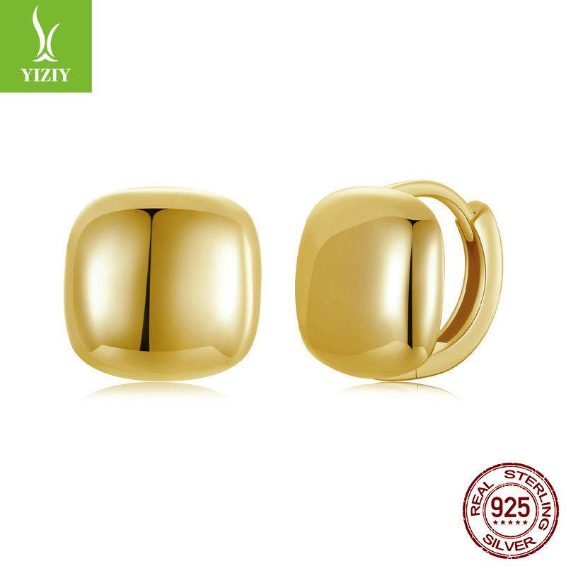 Metal Cold Wind 925 Silver Stud Earrings French Basic Niche Light Luxury Temperament Earrings Women