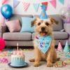 Adjustable Pet Birthday Caps Cute Dog Birthday Bib Dog Dress Up Dog Birthday Hat Set  for Dogs Cats