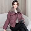 Winter Fashion Lapel Cotton Coat for Women Loose Short Down Cotton Jacket