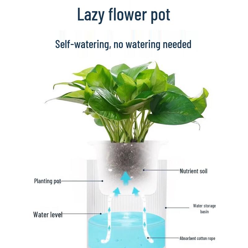 Aomeiyou Transparent Self-Watering Hydroponic Planter