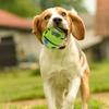 Interactive Squeaky Dog Toy Fun Sounds Puppy Wrestling Toy Dog Molar Ball  Getting Dog Attention