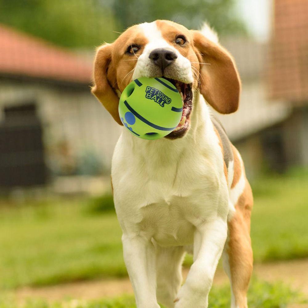 Durable Dog Toy Ball Interactive Fun Sounds Chew-Resistant Toy Bite-resistant Wear-resistant Squeaky Dog Toy Outdoor Play