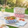 2 Compartment Insulated Lunch Box Cartoon Storage Box with Lid Creative Meal Container Office