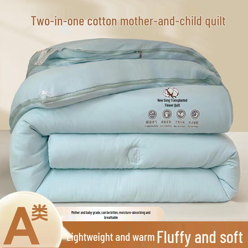 DZQ Thickened Warm 2-in-1 Winter Duvet