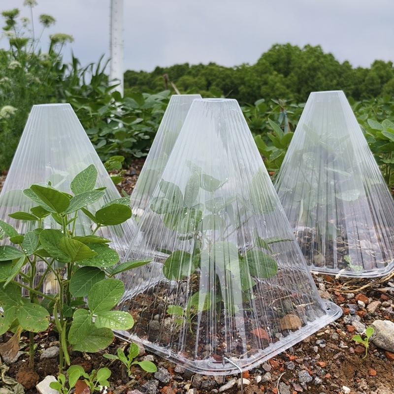Conical Plant Seedling Protective Plastic Plant Cone Cover Reusable Nursery Seedling Planting Tent Anti-Bird Pest Snail Prevents