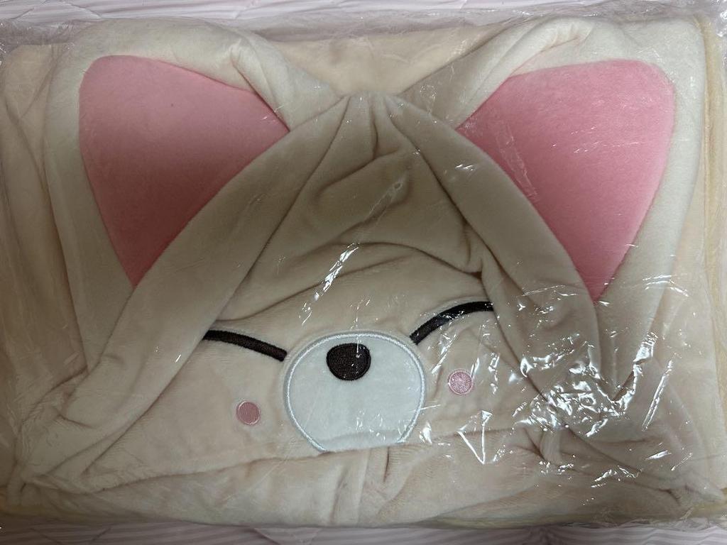 [USED] Stray Kids Foxxy Blanket Ien SKZOO