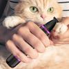 Paw Hair Trimmer for Dogs Hair Shaver Grooming Trimmer Kit Multifunctional Electric Nail Grinder Precise Quiet Grooming Kit