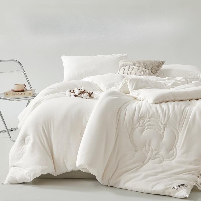 Brangdy Winter Cotton Quilt
