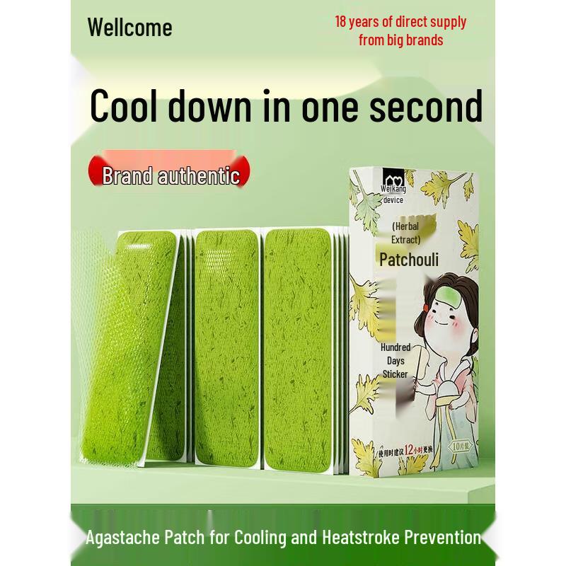 HANDUNYOU Agastache Herbal Cooling Patch