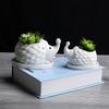 Succulent Ceramic Flower Pot, Gardening Creative Flower Pot With Tray, Korean Office Desktop Potted Ceramic Crafts