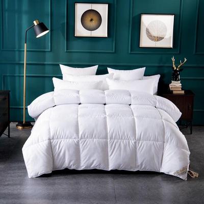 IDONNA Thicken Warm Fiber Duvet