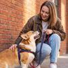 Denim Dog Chest Harness & Leash for Medium/Small Breeds - Durable, Explosion-proof, Wear-resistant.
