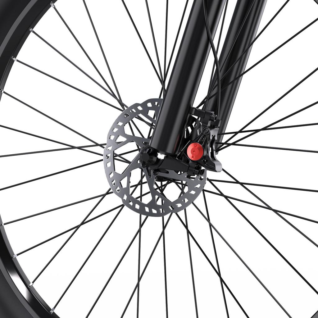 DUOTTS C29-K Long Range Electric Bicycle 150KG Load 750W Motor 48V15 Ah Battery 29 Inch Mountain Tires Double Charging All Terrain E-Bike