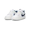 Nike Court Borough Low 2 SE TD 'Pawprints' DQ5981-100