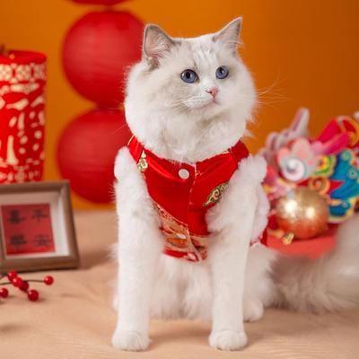 Golden Silk Dragon Pattern New Year's Rough Edge Cat Warm and Velvet Tang Clothing Festive New Year's Greeting Cat Kitten Pet Dog Dog Clothes