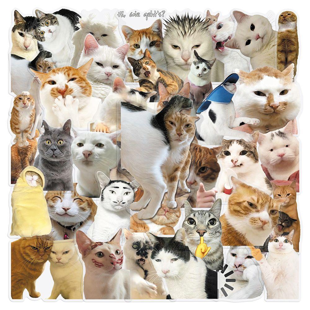 

50 Pieces Cat PET Stickers Cute Realistic Cat Meme Emoji Decals Decorate Water Cups Stationery Suitcases Fridges Laptops Notebook Scrapbook Transparent