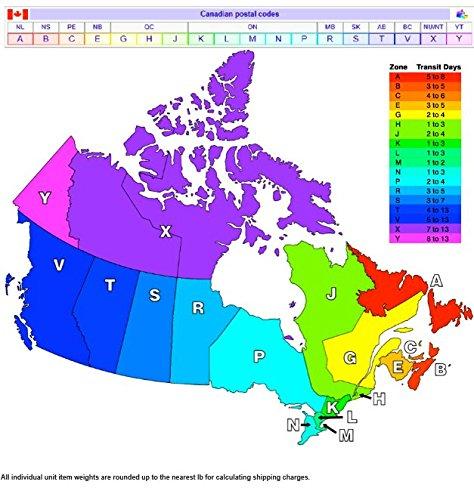 California Costumes Rock and Roll Black Men's Wig (CAL-70035)