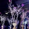 White Coral Tree Branches Wedding Props Decorations DIY Road Leads Centerpiece Ornament for Wedding