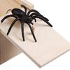Wooden Prank Spider Scare Box Hidden In Case Trick Play Joke Gag Toys Gifts
