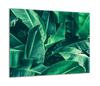 GLASS PROTECTIVE PLATE FOR STOVE 60x52 LEAVES
